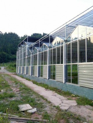 四川省遂寧市大石鎮全玻璃溫室3536平